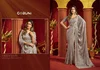 Sania By Gobuni Velvet Bliss Fabric Embroidery Work Saree